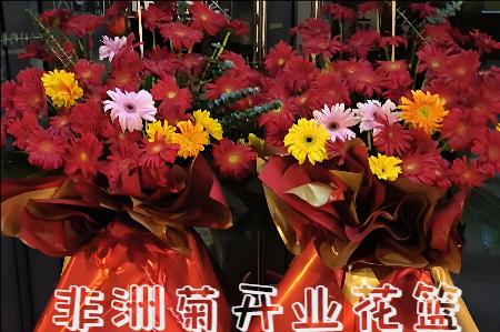 黄山休宁县开业花篮